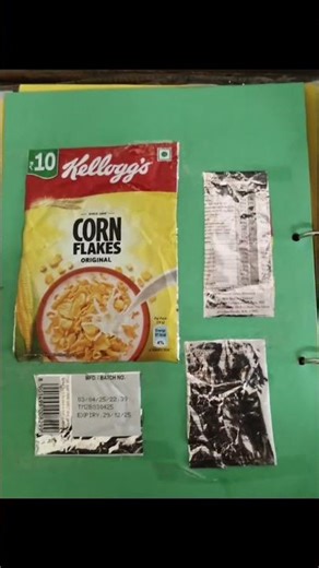 Home science class 12th Project file