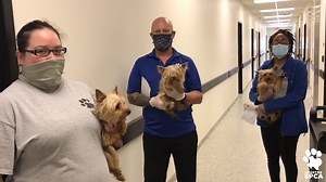 2.9K views · 121 reactions | Houston, we're still here. #COVID19 #animalrescue #wildliferehab #hounews | Houston SPCA | Facebook