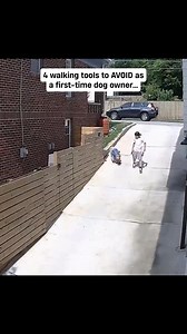 Is your dog a puller? This is the best harness for stress-free walks! Unlike collars that can cause neck strain, our harness distributes pressure evenly across the chest and shoulders. You'll enjoy greater control of your dog—no more tugging or struggling 🐕 Upgrade your walks today with our 60-Day Perfect Fit Guarantee ✨ | Dog Friendly Co.