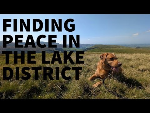 🚐🐾 Wild Swimming & Wainwrights | Camper Van Trip to the Lake District with My Dog | Silent Hiking