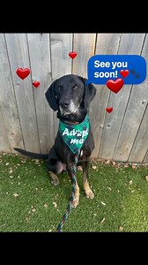 4.9K views · 148 reactions | What's DDO you ask? Well, Deli is here...