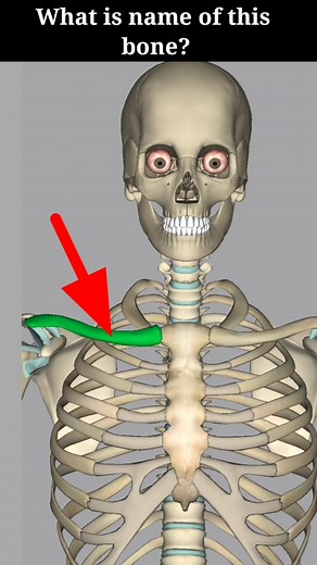 Bone Name #shorts #clinicside #medical #viral