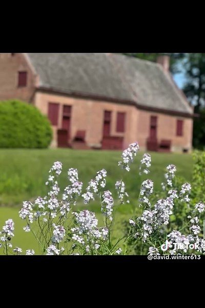 David winter (@david.winter613)’s videos with original sound - Mary Anne