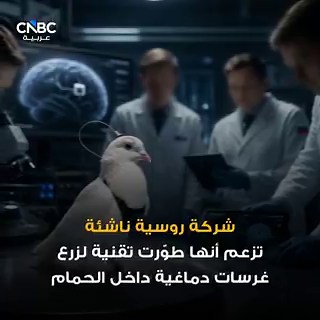 من ساعي بريد إلى جاسوس.. الحمام يعود بتقنية روسية جديدة
