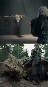 A dragon and its rider. #HOTD #HouseOfTheDragon #AegonTargaryen #TomGlynnCarney #Sunfyre