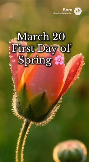 3/20 - Today marks the first day of spring. 🌸 As the seasons shift, spring brings longer days, warmer light, and new life all around us. It’s a reminder that growth takes time, and that every new beginning starts quietly before it blooms. A new season begins. Follow for tomorrow’s holiday. #TheDaysHoliday #DailyHoliday #OnThisDay #CelebrateToday #FirstDayOfSpring