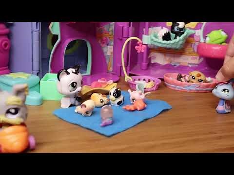 LPS Adoption Center - part 1