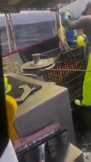 19K views · 128 reactions | Commercial Crayfishing  Ramel Ramirez | On The Deck - Footage from Australia's Commercial Fisherman | Facebook