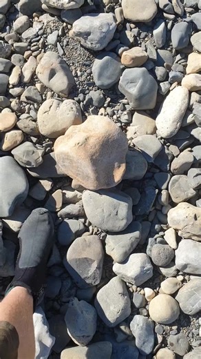 TikTok - Make Your Day