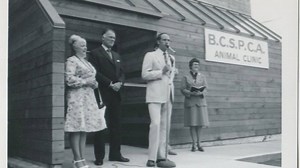 BC SPCA celebrates 125th anniversary