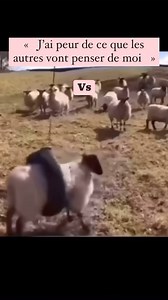 Crée un business en ligne sans vendre ton âme : 8 semaines pour transformer tes idées en un business en ligne qui te passionne ! Tu rêves d’indépendance, de lancer ton business et d’une vie plus épanouissante, mais tu procrastines, tu doutes, tu ne sais pas par où commencer ? Tu as simplement besoin qu’on te montre comment faire. Dans Happiness Business, je te partage les grandes étapes qui m’ont permis de trouver ma mission de vie et créer un business aligné à mes passions. Arrête de tourner en