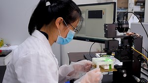 Dual Raster-Scanning Photoacoustic Small-Animal Imager for Vascular Visualization