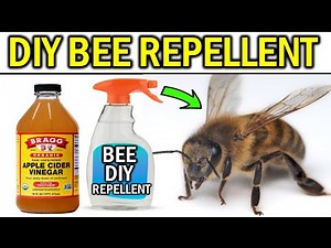 How to Get Rid of a Beehive