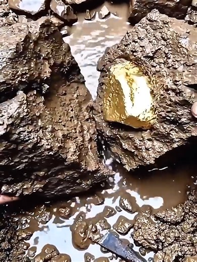 Discovering Gold with a Metal Detector