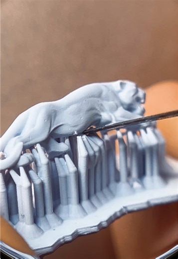 Custom 3D Printed Panther Grillz and Bespoke Windows