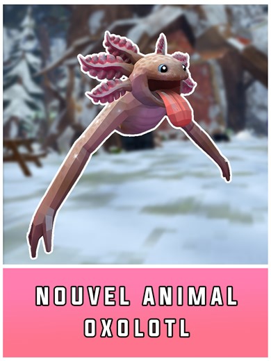 Nouvel Animal d'@animalcompanyvr : Axolotl en VR