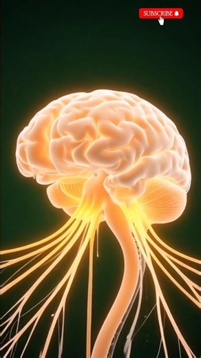 Ai#beauty #doctor #asmr #love #facts #funny #lifestyle #memes #animation #famous #shorts #Dubai#cars