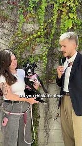 What do the office dogs have to say about these pressing issues?