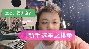 新手排量，250真的不够用吗？