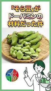 今が旬のそら豆がドーパミンの材料だった件