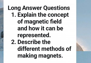 Long Answer QuestionsExplain the concept of magnetic field an... | Filo