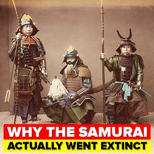 The Samurai is one of the most iconic warriors in history, but the true story of the end of the samurai tradition is a tragic one filled with bloodshed. Don't miss today's epic new video to discover what happened to Japan's fiercest warriors! | The Infographics Show