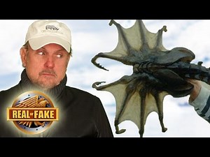 4 Creepy Creatures - real or fake?