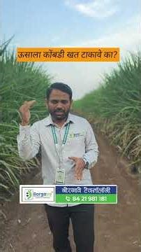 ऊसाला कोंबडी खत घालावे का? #vastad_kit #ऊस #ganna #borgave_technology