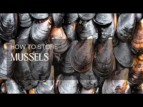 How to Store Mussels: Fresh or Cooked