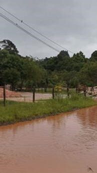 ماني ماني ❤️🎤🫶🏻🌟 #cheb_bachir #الشاب_بشير