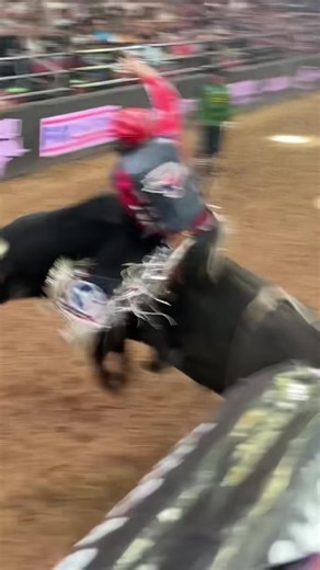 PBR Teams MVP Highlights: A Memorable Journey