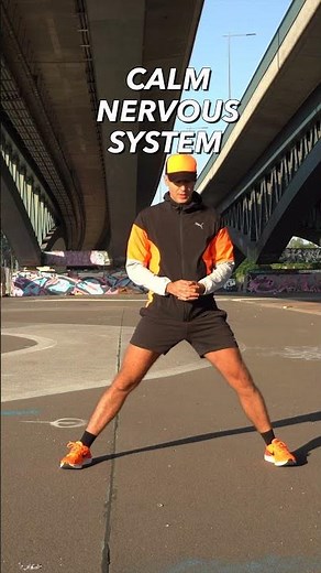 Calm Nervous System