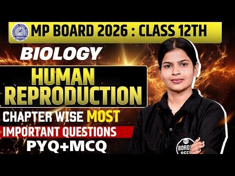 MP Board 2026 | Class 12 Biology Human Reproduction 🔥 | Most Important PYQ + MCQ | 100% Exam Focus