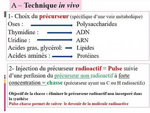TD2 Autoradiographie 2020 21 vidéo