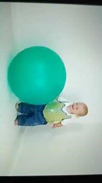 My baby can talk Sharing Signs Ball