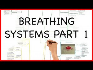 BREATHING SYSTEMS PART 1 - PHYSICS SERIES