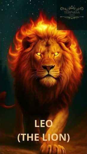 LEO (THE LION) #animation