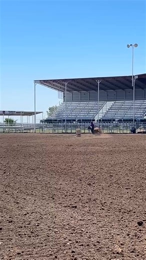 4.7K views · 135 reactions | SL Dot Com Bubble 﫧Bubbles﫧making me feel like a rag doll 藍藍 after our less than stellar futurity debut last weekend- I'm happy she nailed this run ! She's a pleaser, good listener, over achiever and I have yet to figure out our happy medium  I am grateful she belongs to us  Dave and I love our sweet Bubbles very much!! Amy Lantis | Becca's Barrel Horses | Facebook