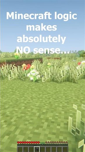 Minecraft Physics Makes ZERO Sense