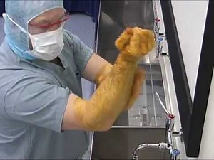 Surgical etiquette Scrubbing.wmv