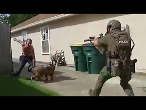 30 Craziest Police Dog Moments Caught on Camera