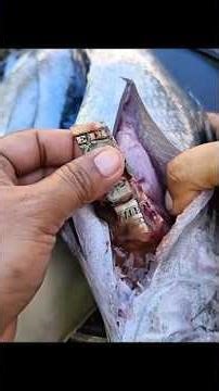 CRAZY Fish With a $1 Bill Inside Its Stomach 😱💵” #Fishing #CrazyCatch #WildDiscovery