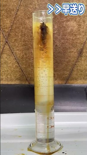 I put a pencil in piranha acid, which dissolves anything, and the results were...I've never seen ...