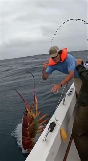 GIANT CLAWS! The Lobster That Caught the Fisherman.