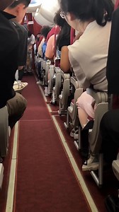 Cats in plane 😹 | Kitty 1st