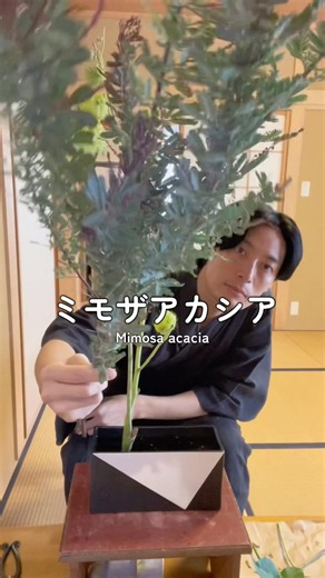 日常に芸術を｜華道俳優新井敬太