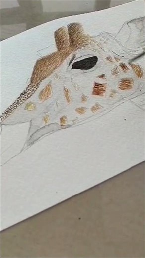 Realistic Giraffe drawing | Please support and subscribe |