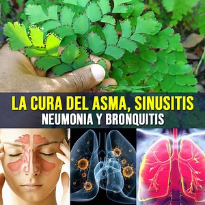 🔴La planta milagrosa para curar el asma, neumonia, bronquitis y sinusitis #salud #Neumonía #bronquitis #remedio | TaPublicado por tu salud