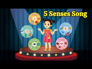five senses song|sense organs|5 senses|educational video|nursery rhymes|body parts names|kids songs