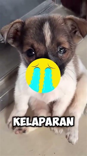 Cara Kocak Balas Dendam ke Tetangga Yang Suka Parkir Sembarangan.😂😂